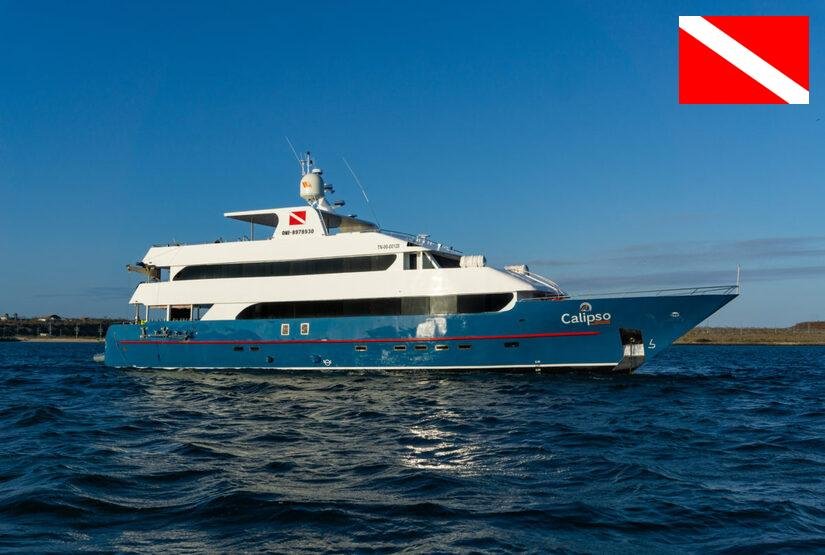 galapagos diving tour calipso yacht